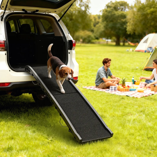 Folding Dog Ramp